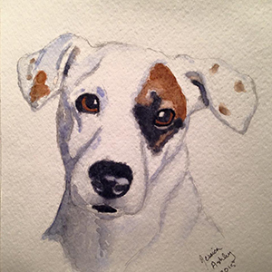 Jack Russell Terrier by Jessica Ashley